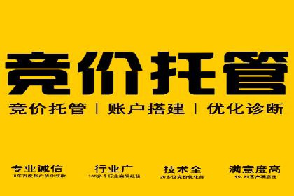 百度信息流广告推广案例：揭秘高ROI的秘密